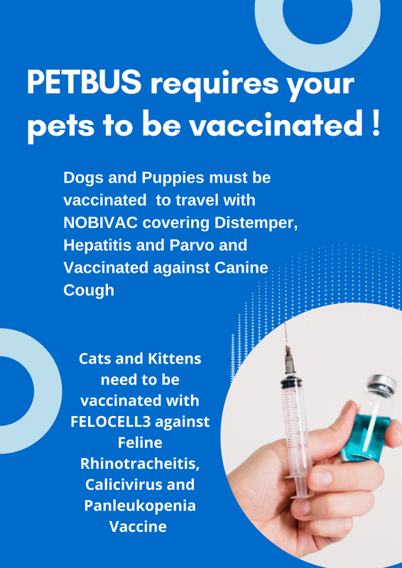 petbus requires your pets to be vaccinated 2 orig